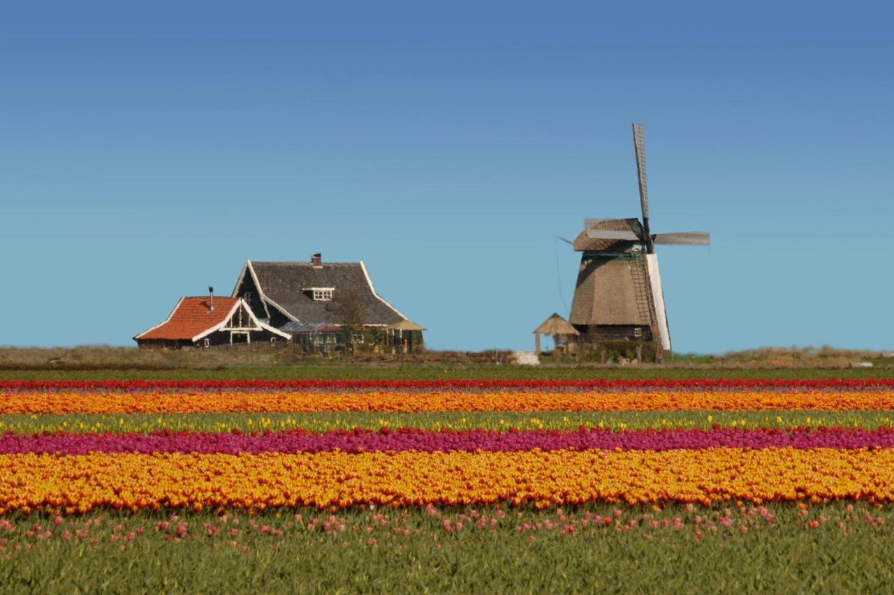 Het Dobbertje, Charmant Houten Huisje Sint Maartensvlotbrug Ngoại thất bức ảnh